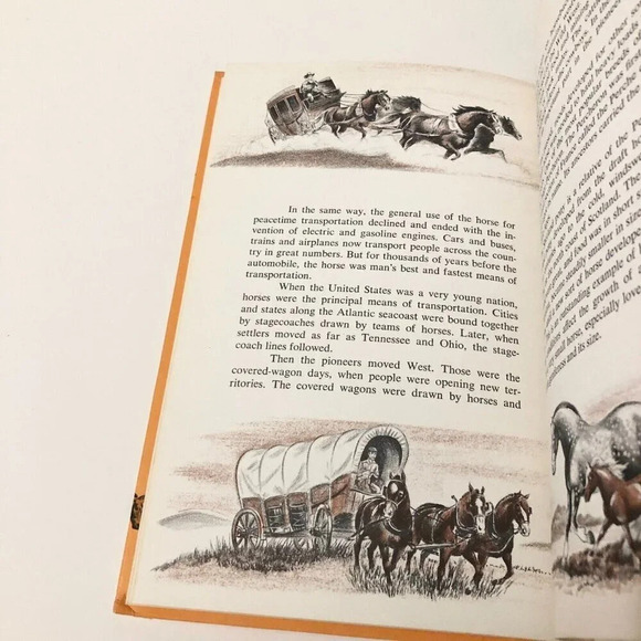Vintage  1965 The History of the Horse by William DuPuy Hardcover Book - Picture 14 of 16